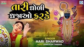 Hari Bharwad Superhit Bhajan | Tari Dhodi Dhajao Farke | તારી ધોળી ધજાઓ ફરકે | Gujarati Bhakti Song