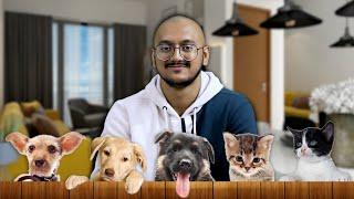 I Love Pets  | Plip Plip