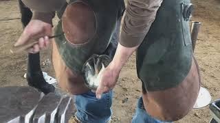 Horseshoeing Basics with world renowned John Mckenzie