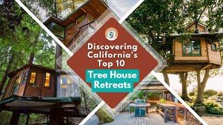 Discovering California's Top 10 Tree House Retreats: A Journey Through Iconic Nature Escapes