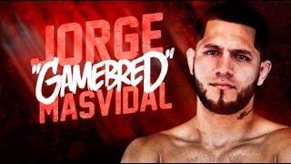 JORGE "GAMEBRED"  MASVIDAL HIGHLIGHTS