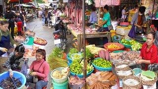 Cambodian Fresh Morning Market @ Orussey & Boeng Trabek, Dried Fish, Shrimp, Chicken, & More