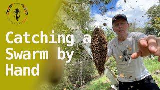 Could You Catch a Swarm by Hand?