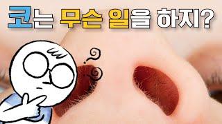 어린이과학 | 코 | 코는 무슨 일을 하지? | 과학호기심 | 탐구 | 생물 |  질문에 빠진 안다씨의 과학이야기