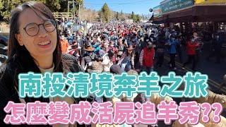 Vlog 16 為了蹭住宿券到清境奔羊開場三秒變活屍秀？還被埔里粉絲帶去哲學之路蒐集毒蛇四神廟！