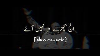 inj vichre mur nhe aaye    Jani door gye   slow reverb   nusrat fateh ali khan best qawali   nfak