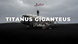 Poltrock - Titanus Giganteus [ambient classical cinematic]