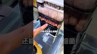 低水位过滤器，养龟专用 即使水位低至2厘米，它也能循环过滤整缸水！让龟缸始终保持干净透亮，龟龟生活的舒舒服服！