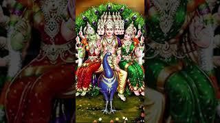 Arumugam #murugasongs #arumugam #devotionalsongs #lordmurugan #murugan #shorts