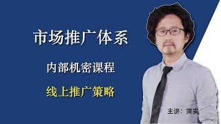 【21】线上推广策略｜翟山鹰BOC市场推广体系｜蒲实