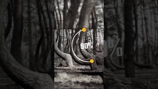 गजब का जंगल  //crooked  forest #crooked #shorts #factview