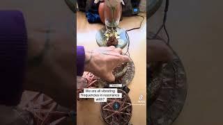 Orgone starship coil water charger