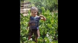 Paseo Golan Set12.wmv