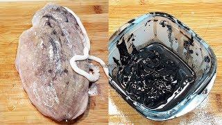 WARNING!!! THIS COULD GET REALLY MESSY!!! HOW TO EXTRACT CUTTLEFISH INK SAC!!!