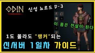 [오딘] 이거보면 당신도 무과금 랭커 신서버 1일차 계획 미리보기  (뇨르드 D-3)
