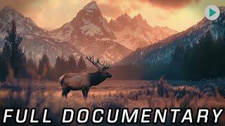 WILD AMERICA: OLYMPIC ODYSSEY  Full Exclusive Documentary Premiere  English HD 2024