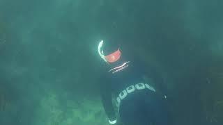 Freediving with Jules Casey OneBreathDiver and Port Jackson Sharks at Mornington Peninsula Backbeach