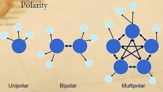 Security - Polarity