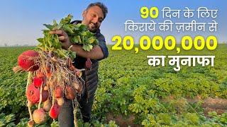 130 एकड़ में आलू की खेती से 2 Crore कमा रहा है ये किसान // Potato Seed Farming business Profit home