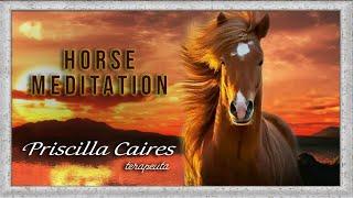 Horse Meditation - Spirit Animal Guide