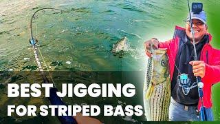 MOST EPIC STRIPED BASS JIGGING! | Long Island, NY