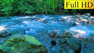 Relaxing Mountain Stream Sounds, Forest river Sounds for deep sleep, stress reliever, and meditation