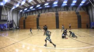 MYLAS SCOTT HIGHLIGHTS SUMMER 2015