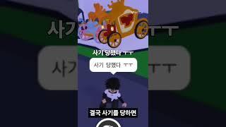 입양하세요 한국 사기 특징