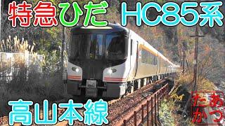 【特急ひだ HC85系 晩秋の高山本線】