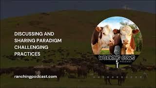 Ep. 396 – Jonathan and Stefan Bouw – A Journey into Grass-Based Genetics | Working Cows