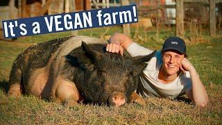 NOT YOUR AVERAGE TEXAS RANCH - It's a VEGAN Farm!