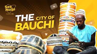 See Bauchi: Where Tradition Meets Breathtaking Beauty! See Naija With MTN