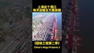 每天运输五万集装箱上海这个港口实在是不可思议！#china