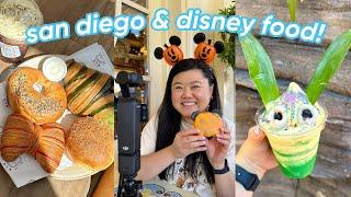 a week of filming food tours! san diego + disney halloween food 