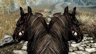 Skyrim Special Edition: Dumb Yet Hilarious Glitches