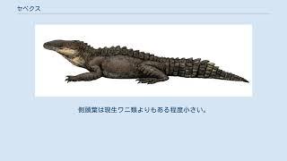 セベクス