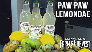 Growing Paw Paws for Lemonade! | Maryland Farm & Harvest