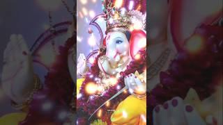 Ganpati Bappa New Status Video | #ganeshchaturthi #ganpati #shorts