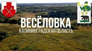 4K. Весёловка. Черняховский район. Калининградская область