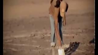 Mystery Investigator Nazca Lines (Discovery Channel)