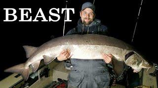 BEAST Lake Sturgeon: St. Croix River, Minnesota - 100+ lbs! - Northwoods Angling