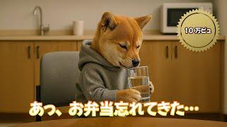 I left my lunch at home.  Shiba-kun, a new employee