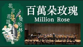 Million Roses《百萬朵玫瑰》百万本のバラ：Raimonds Pauls（ライモンズ・パウルス）、武藤理恵 編｜Taiwan Mandolin Ensemble ｜曾煒昕指揮、臺灣曼陀林樂團