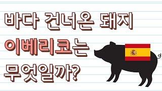 이베리코는 대체 뭐가 다른걸까?