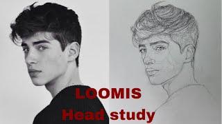 How to draw a portrait using Loomis method| loomis head study