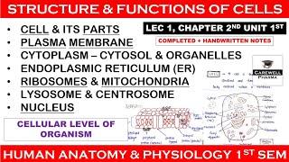 Cell Structure and Function || Human anatomy and physiology-1| L 1 | Unit 1 | hap b pharmacy 1st sem