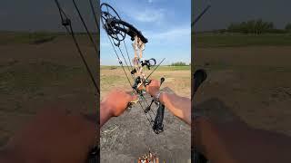 Archery Dragon X8 RTH Compound Bow