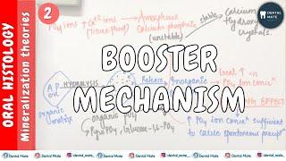 Booster Mechanism | Alkaline Phosphatase Theory | Theories of mineralisation | Dr Paridhi Agrawal