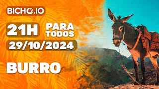 Resultado ao vivo PARATODOS # 21H - PT - 29/10/2024