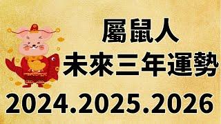 屬鼠人未來三年運勢如何（2024年 2025年 2026年）